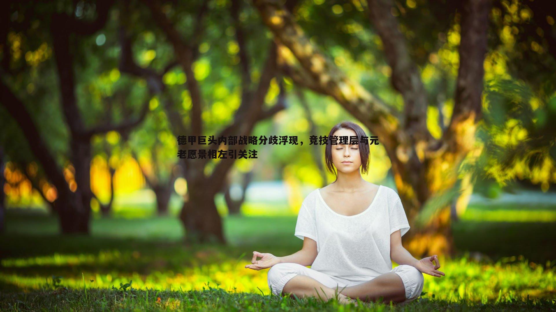 saba体育-德甲巨头内部战略分歧浮现，竞技管理层与元老愿景相左引关注