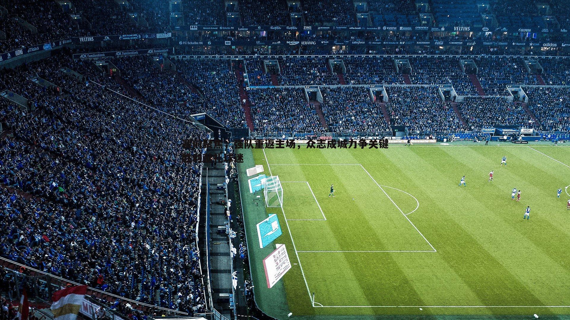 赛前聚焦,强队重返主场,众志成城力争关键胜利献礼球迷